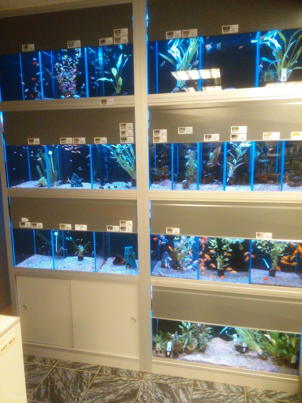 Aquarium